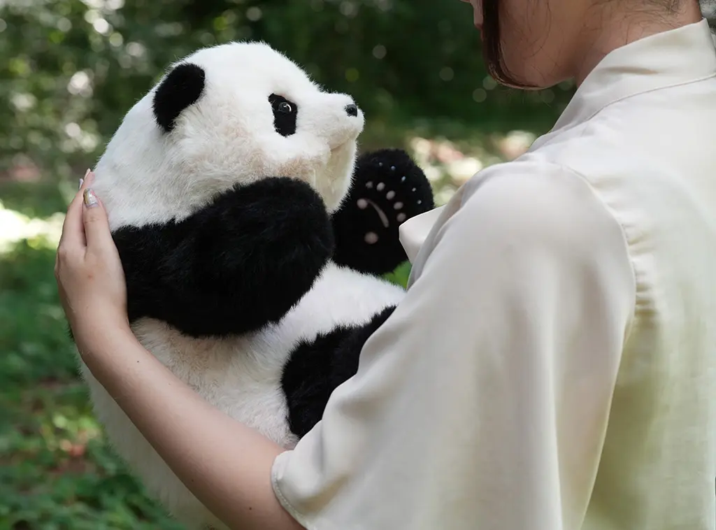 ５ヶ月齢？シャンシャン(香香)ぬいぐるみ　リアル スタッフおすすめ】シャンシャン5ヶ月齢リアルぬいぐるみ｜パンダ