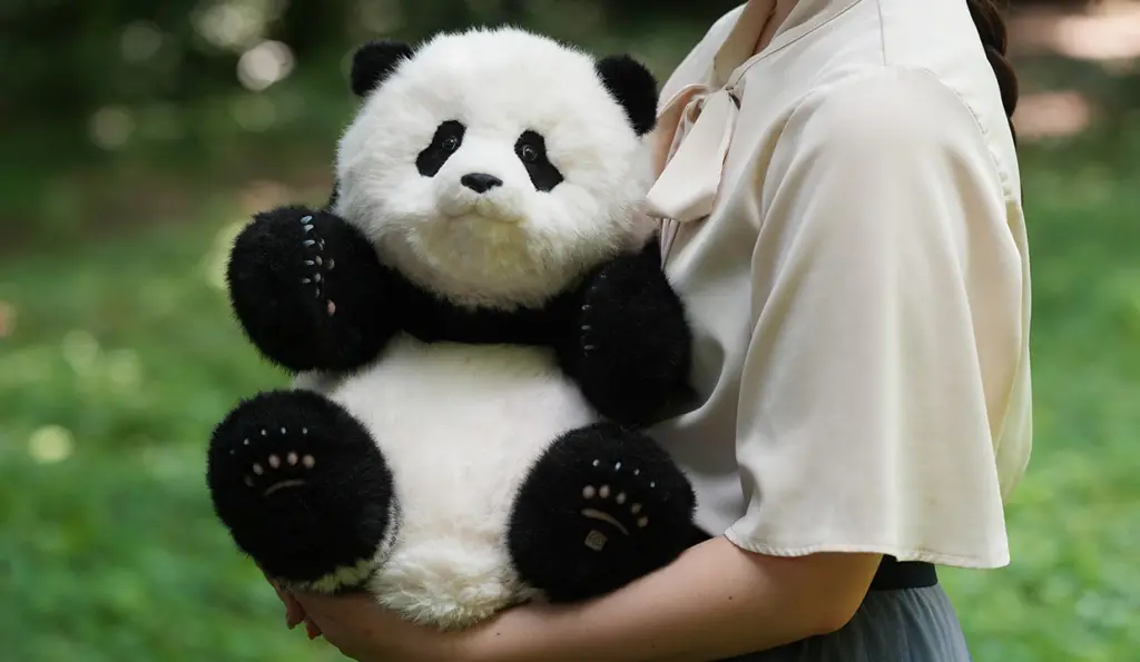 スタッフおすすめ】シャンシャン5ヶ月齢リアルぬいぐるみ｜パンダ