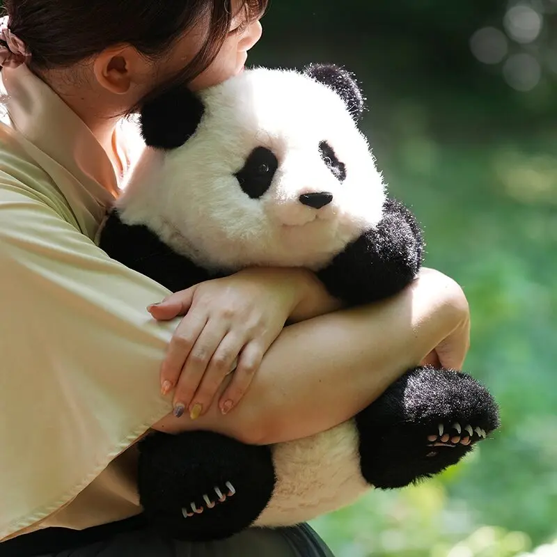 5ヶ月齢座り姿のリアルパンダ フーバオ | パンダプラネット