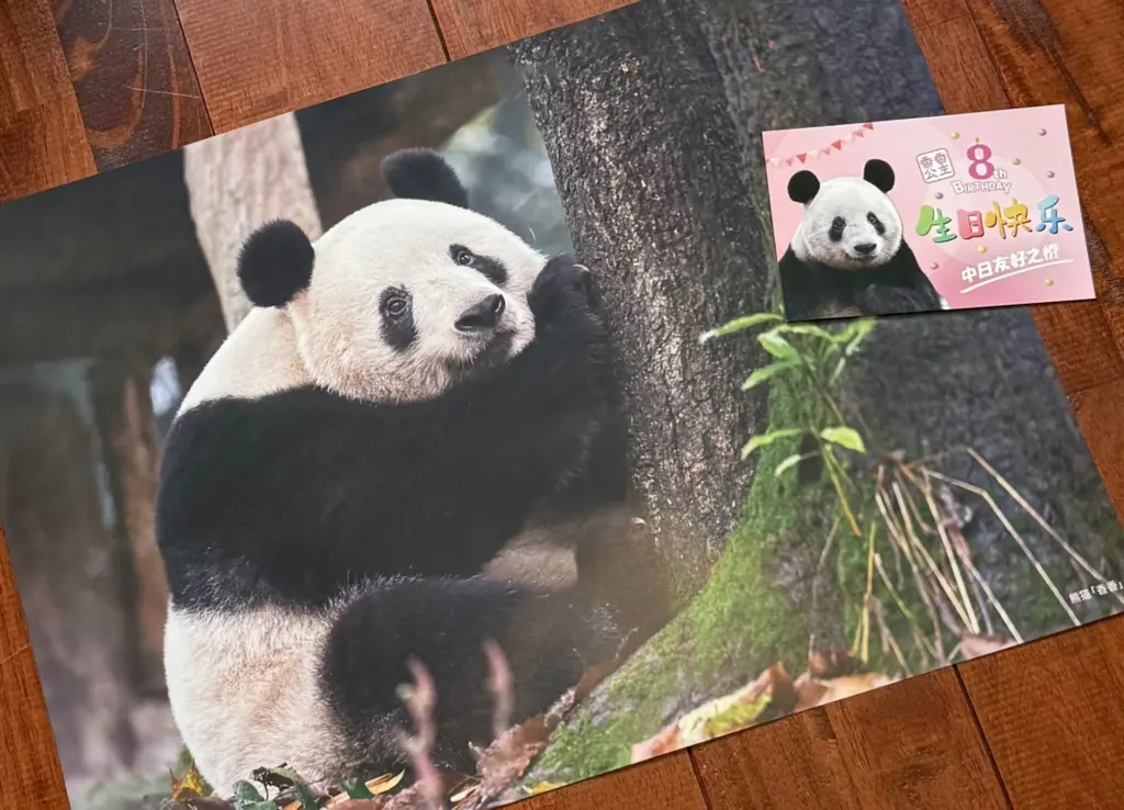 ウエノデパンダ中秋節 出店決定！ | パンダプラネット