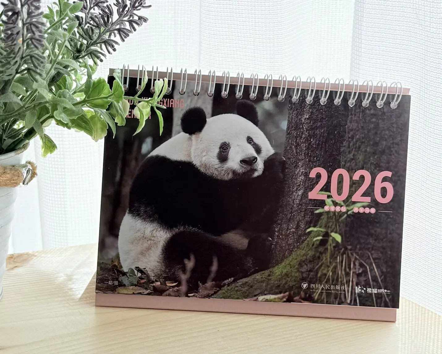 シャンシャン卓上カレンダー2026（中国版） | パンダプラネット