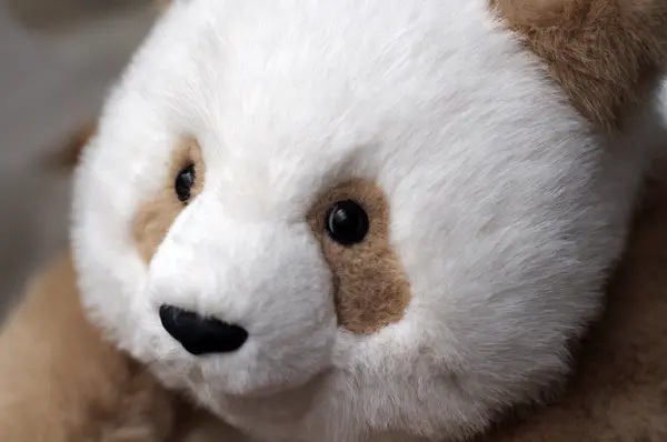 お座りリアルパンダ（チーザイミニ） | パンダプラネット