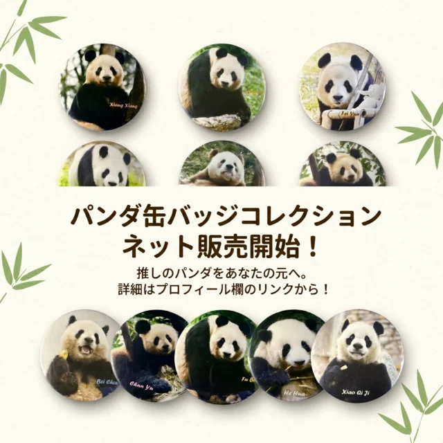 ウエノデパンダ中秋節 出店決定！ | パンダプラネット